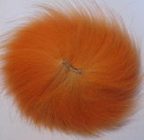����� ������������ ����� ��������� / carrot